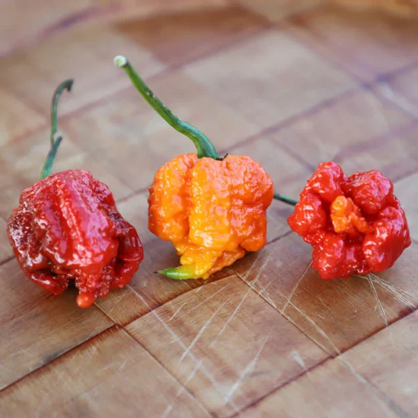 Carolina Reaper zaden - Afbeelding 2