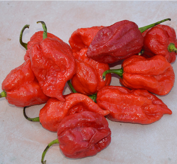 7 pot chaguanas peperzaden