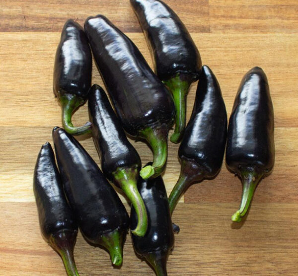 Black Hungarian peperzaden