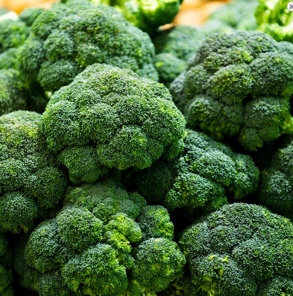 Broccoli zaad Cezar