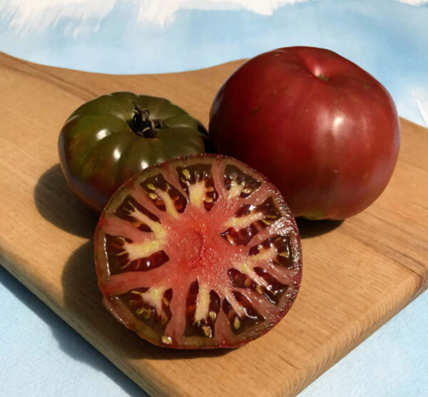 Cherokee Purple tomaten zaden