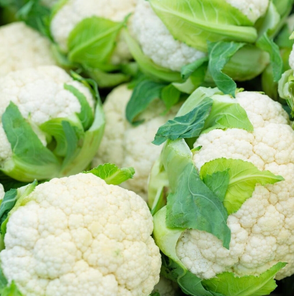 Early snowball x bloemkool zaden