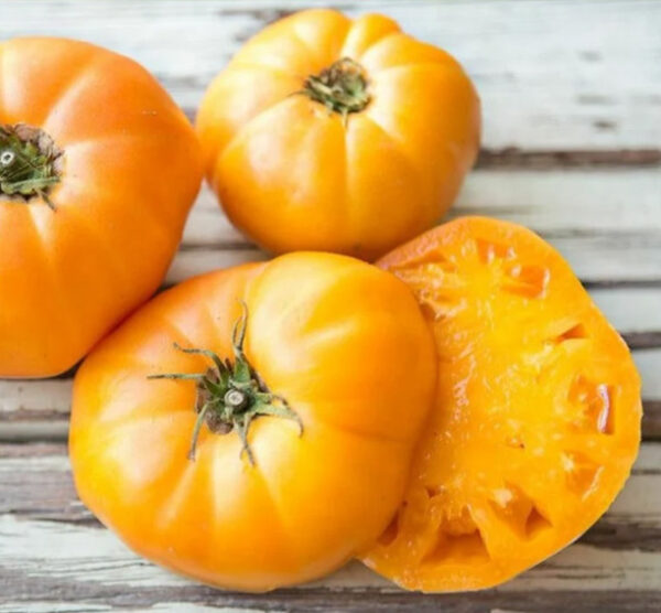 Goldie tomaten zaden