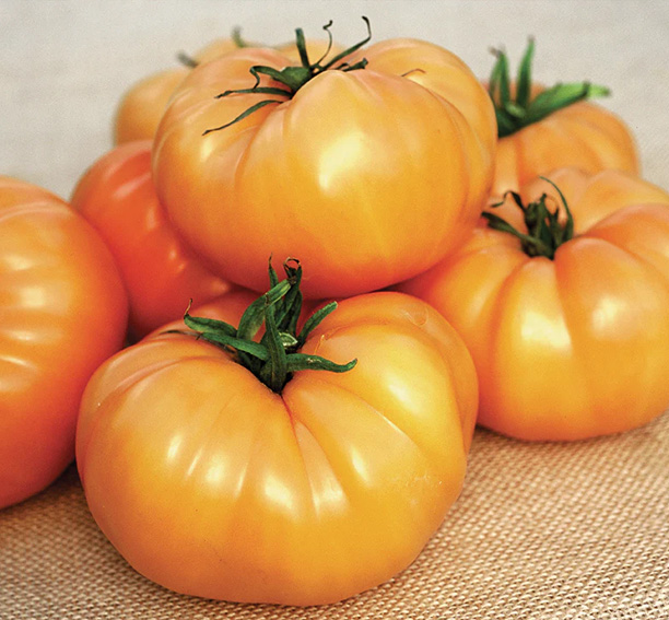 Kellogg's Breakfast tomaten zaden