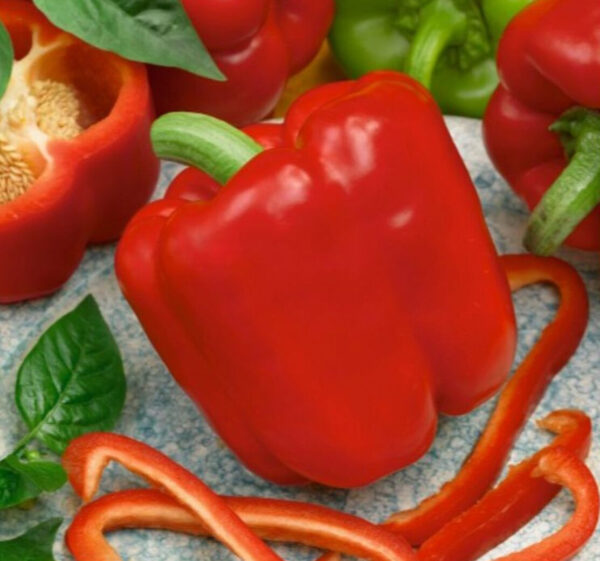 Paprika zaden Granova