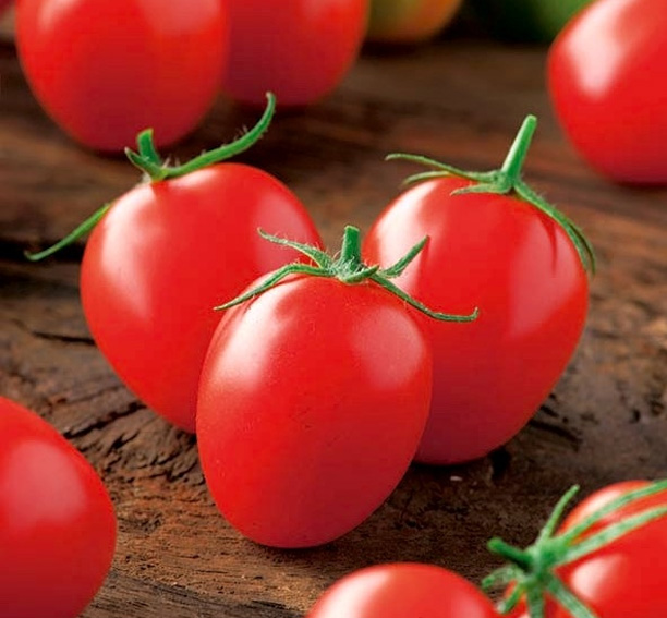 Principe Borghese tomaten zaden