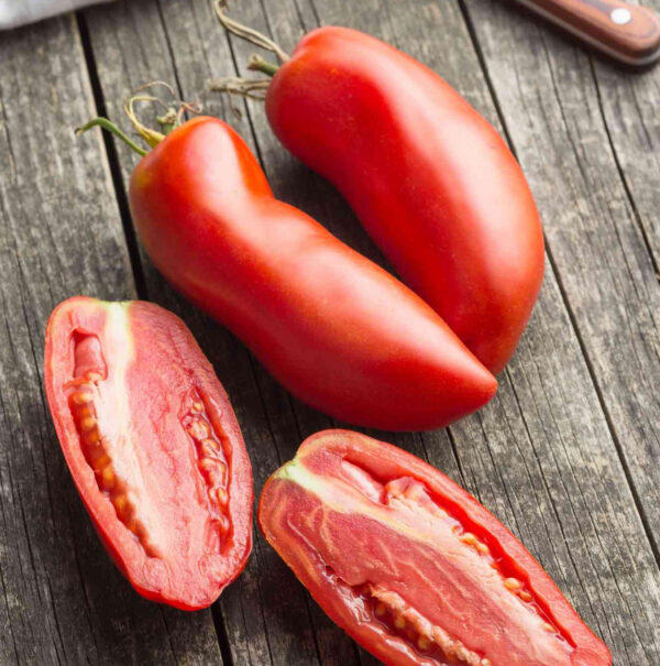 San Marzano tomaten zaden