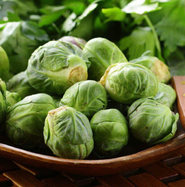 Spruitjes zaden groninger