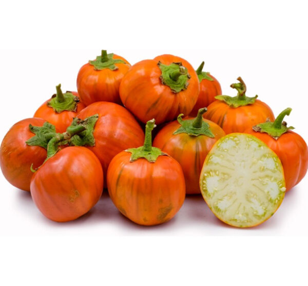 Turkish orange aubergine zaden