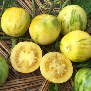 Vernissage Yellow tomaten zaden