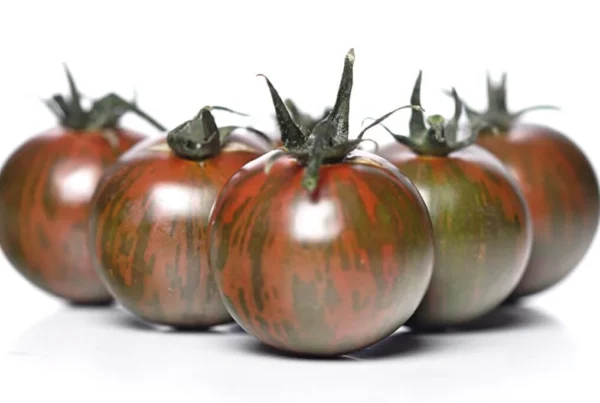 Black Zebra tomatenzaden - Afbeelding 2