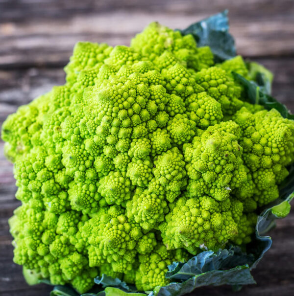 bloemkool zaden romanesco natalino