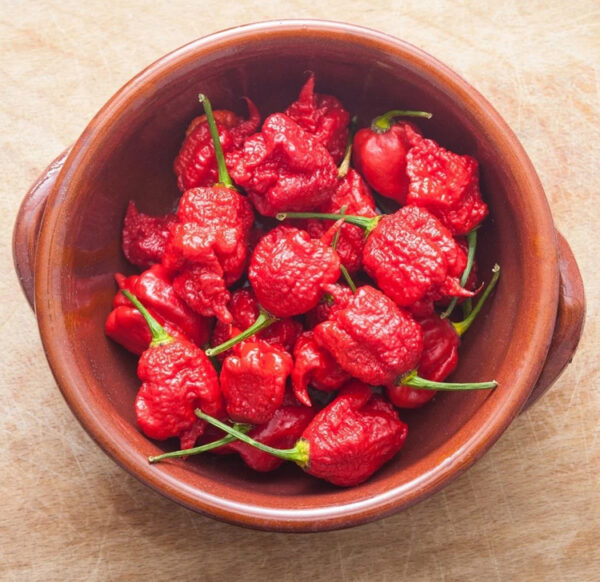 Carolina Reaper peper