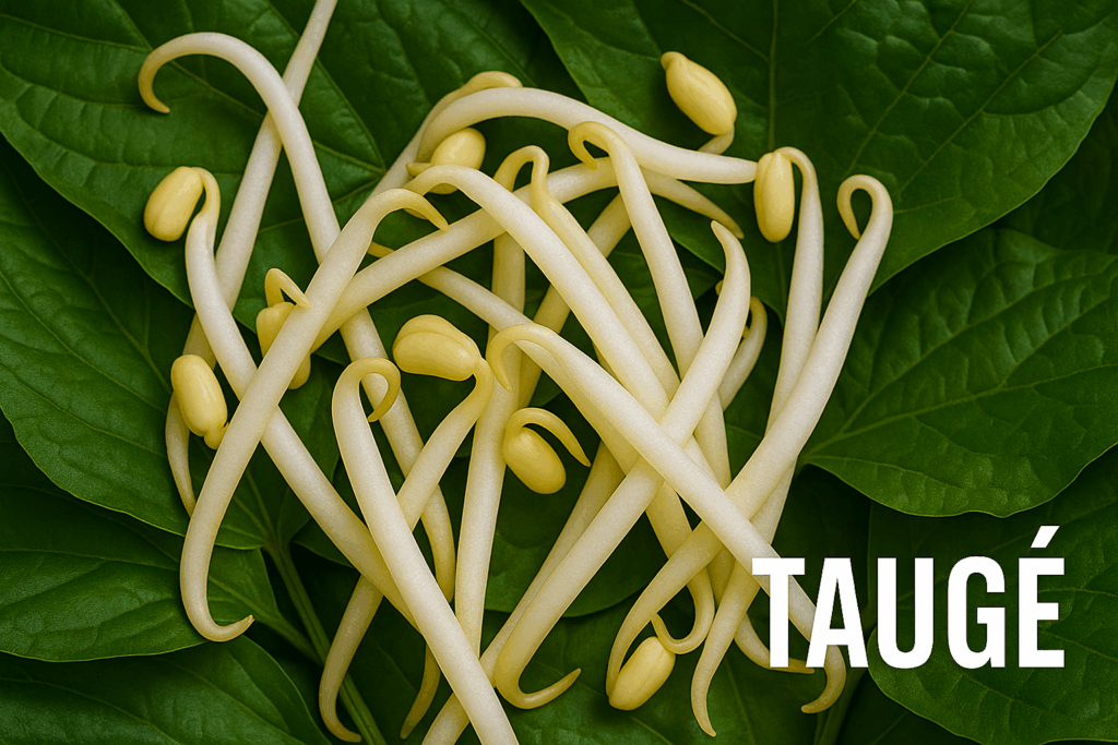tauge kweken