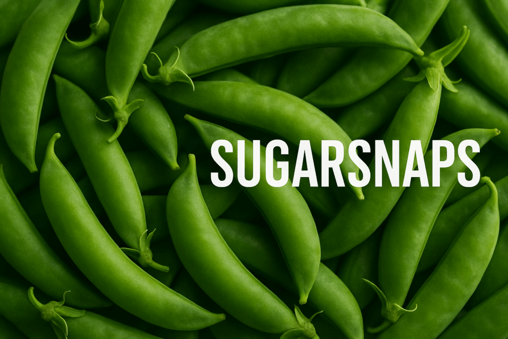 Sugarsnaps kweken zaaien oogsten