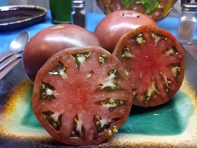 1884 Purple tomatenzaden - Afbeelding 3