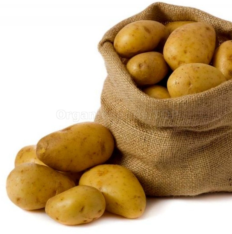 Aardappelzaad Farmer - Afbeelding 2