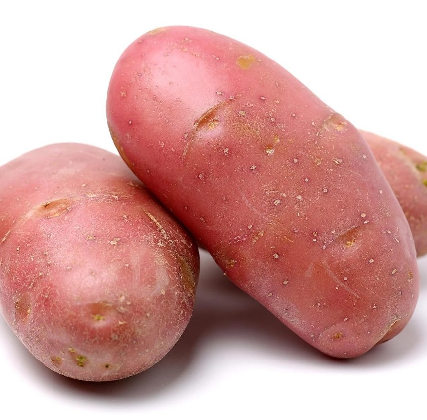 Aardappelzaad Diva - Afbeelding 3