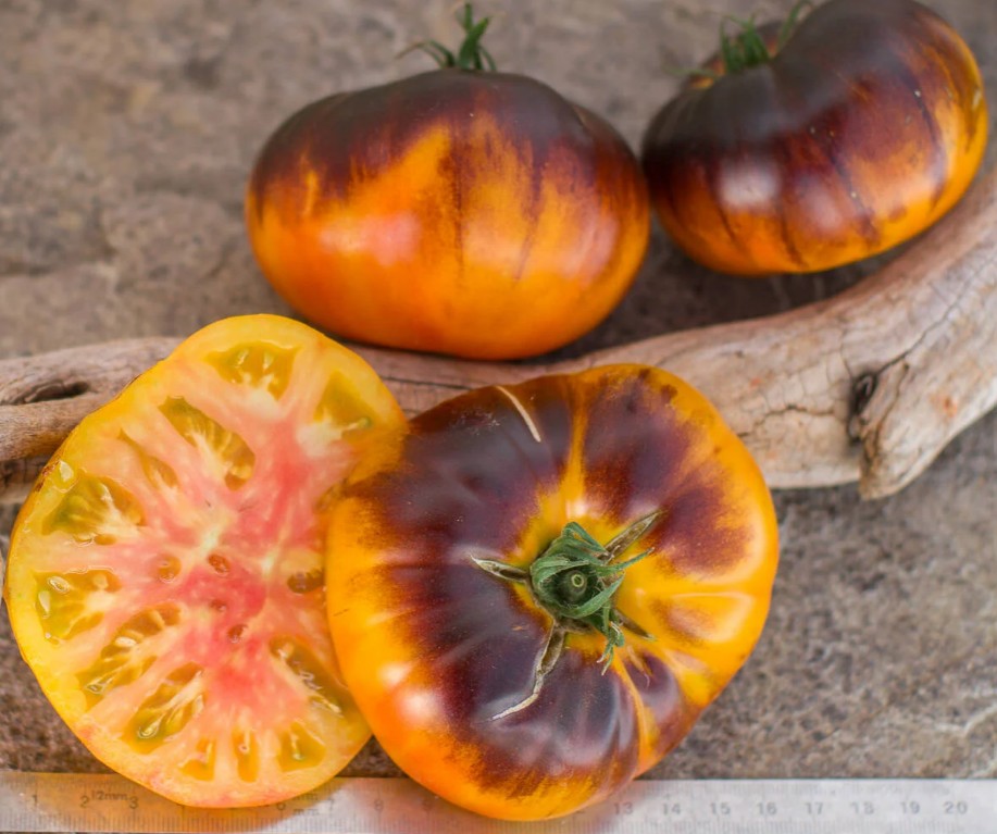 Ananas Blue Lignee Tomatenzaden - Afbeelding 2