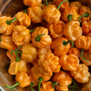 Bahamian Goat Pepper zaden
