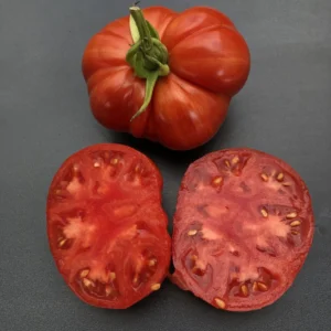 Cherokee Tiger Large tomatenzaden
