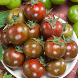 Cherrytomaatzaden Zebrino