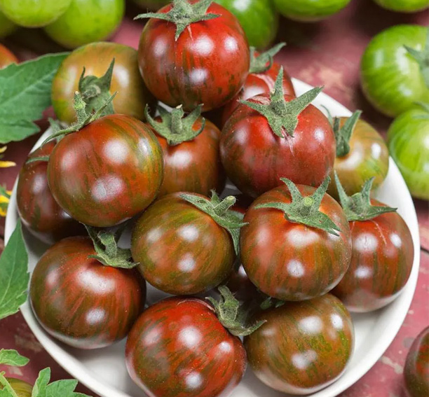 Cherrytomaatzaden Zebrino
