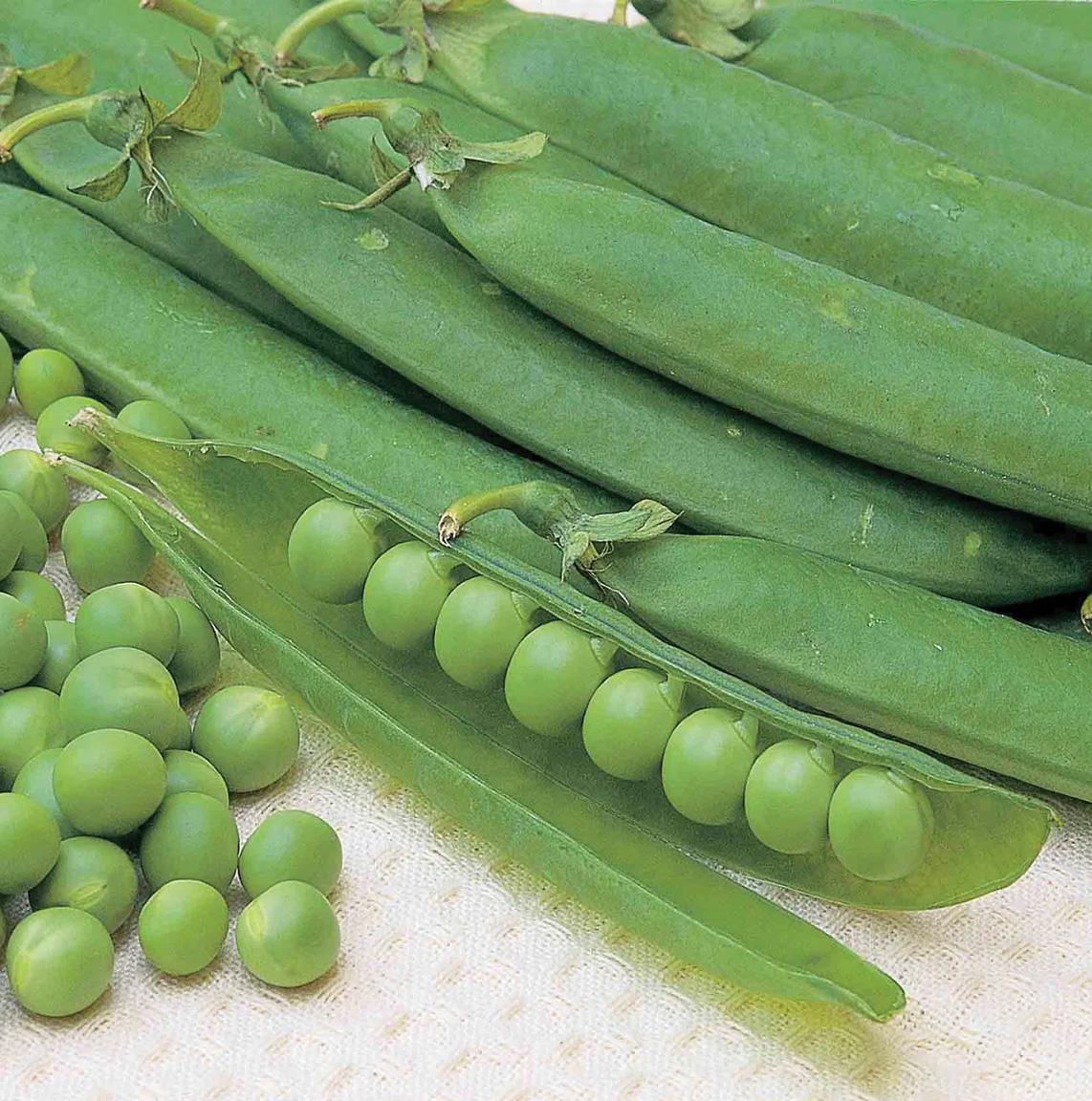 Erwten