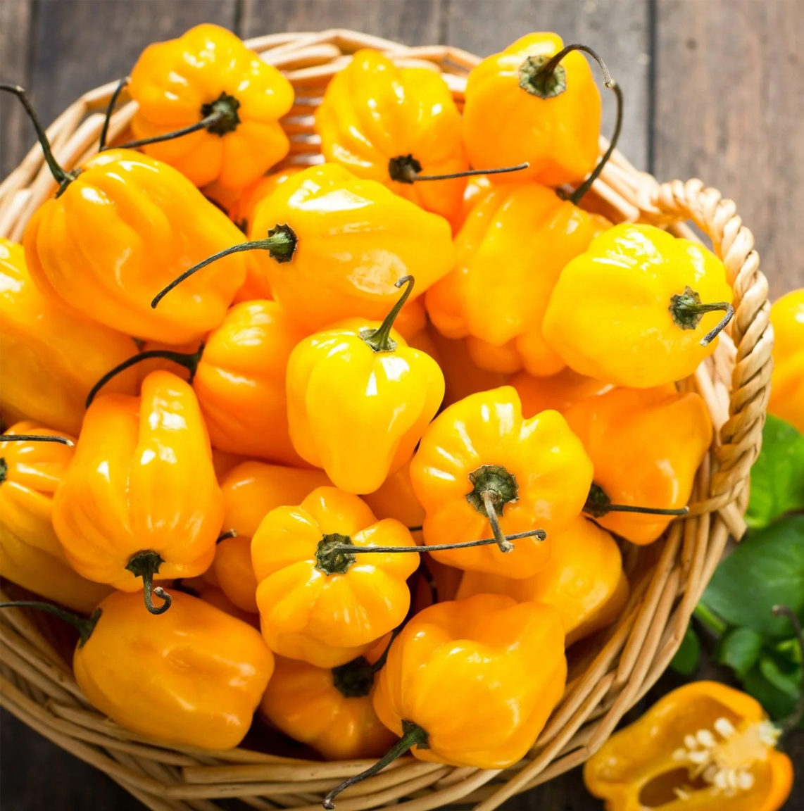 Habanero Collectie - Afbeelding 2