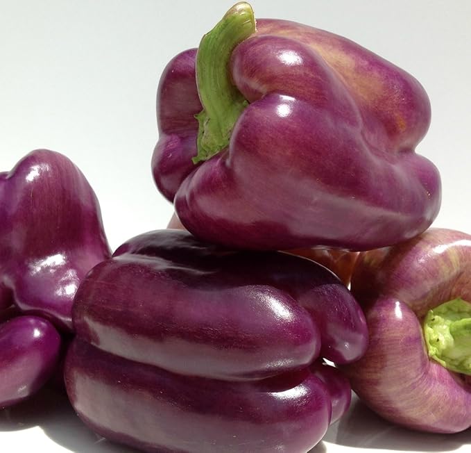 Paprika Mega Collectie - Afbeelding 2