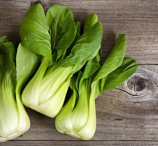 Pak Choi zaden