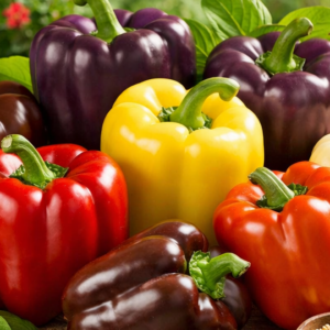 Paprika Mega Collectie