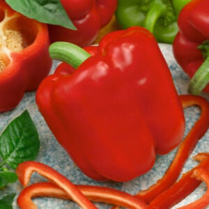 Paprika zaden 'Granova'