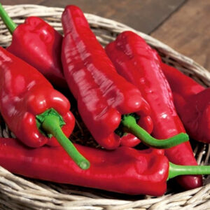 Paprika