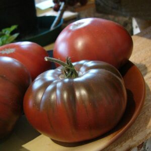 Watermelon Black tomatenzaden
