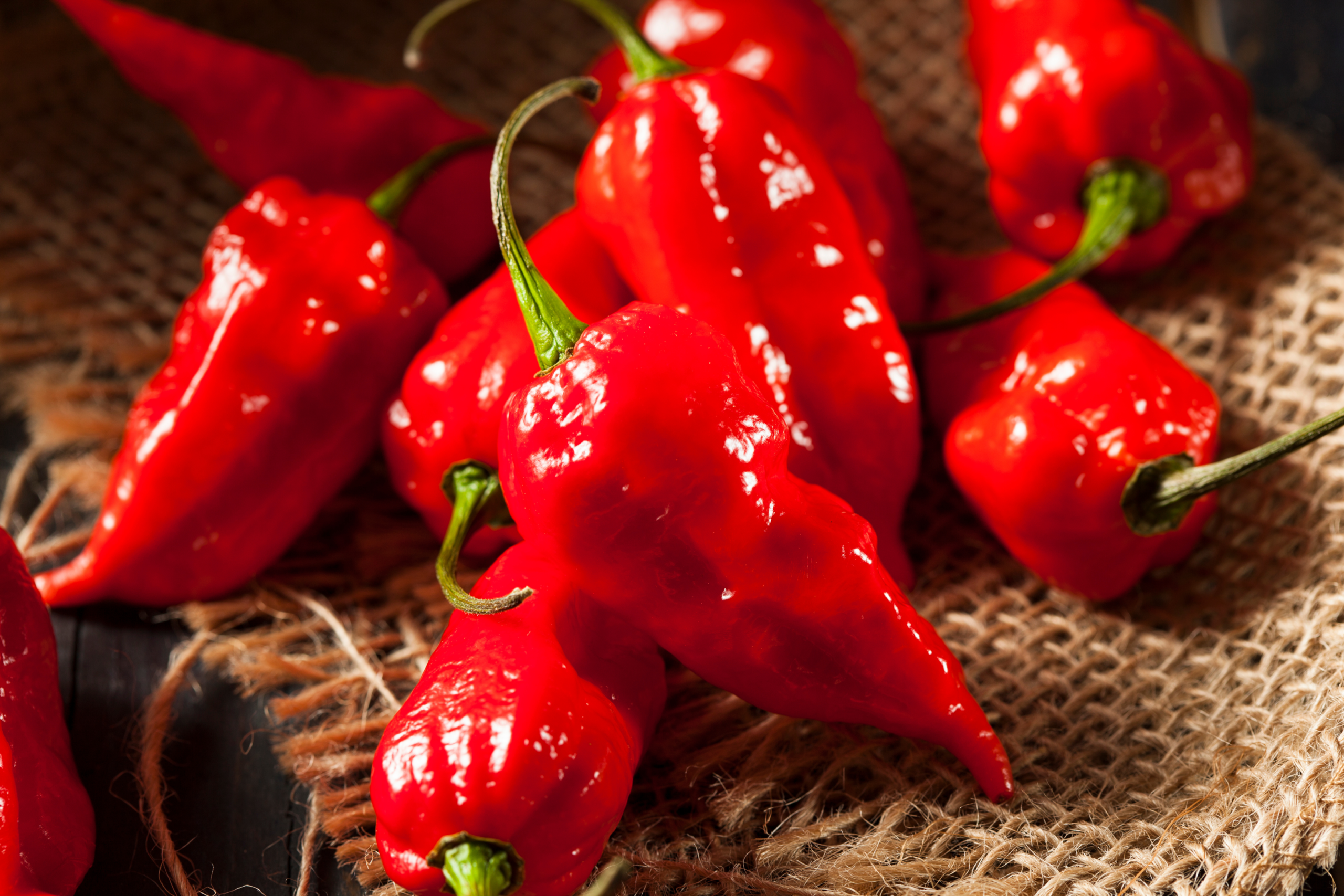 Bhut Naga Jolokia zaden (Ghost Pepper) - Afbeelding 3